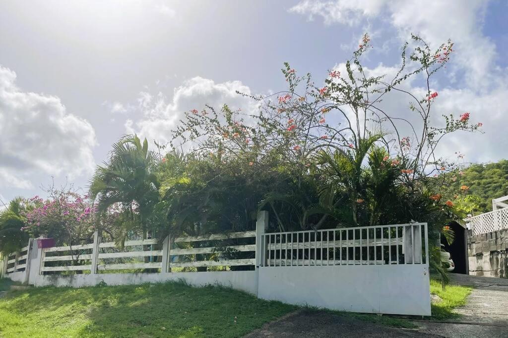 Villa Caraibes 상트루스 외부 사진