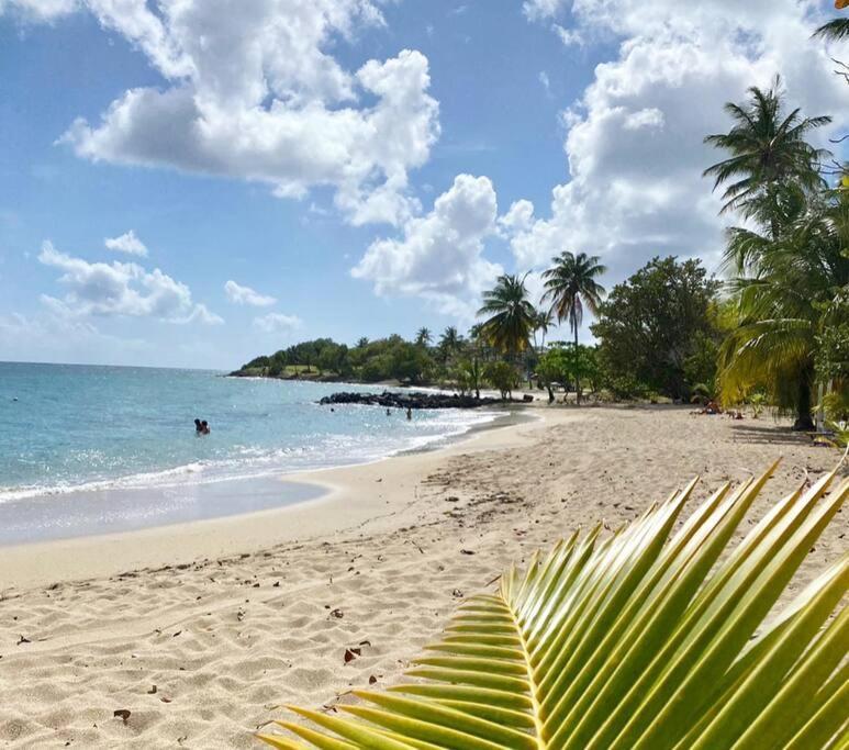 Villa Caraibes 상트루스 외부 사진